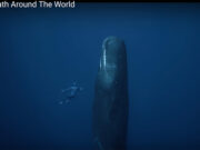 One Breath Around the World Screenshot