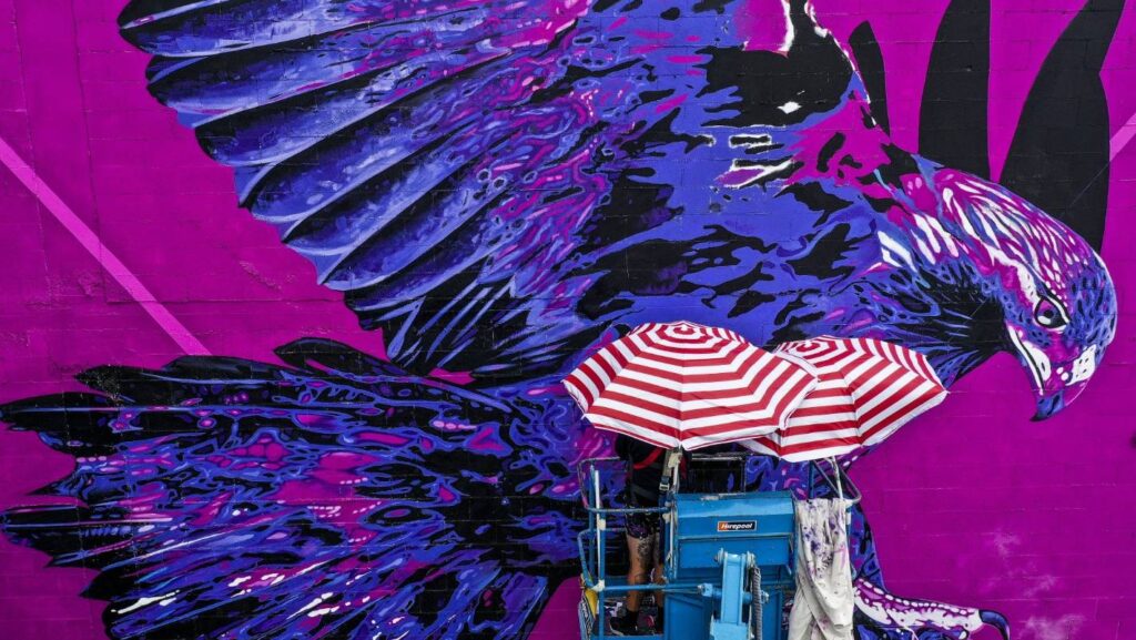 Charles and Janine Williams New Zealand