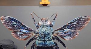 Young-Sung Kim | Artwork