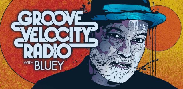 Bluey | Groove Velocity Radio