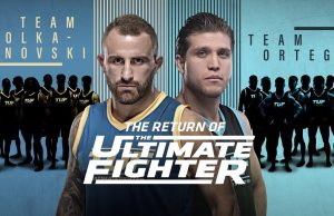 the ultimate fighter