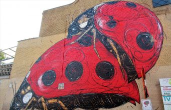 Dzia Mural in Dendermonde