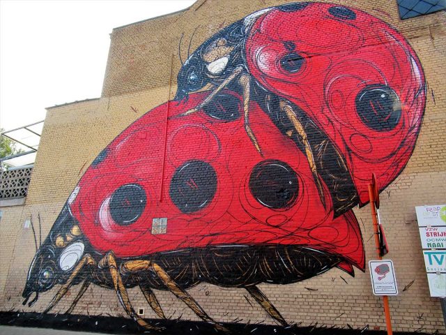 Dzia Mural in Dendermonde